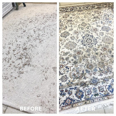 Mo's Rug & More