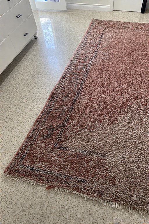 Flooded Rug Cleaning Body